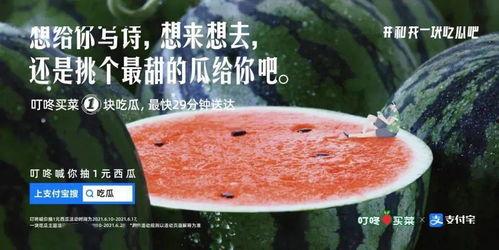 娱乐吃瓜文案图片大全